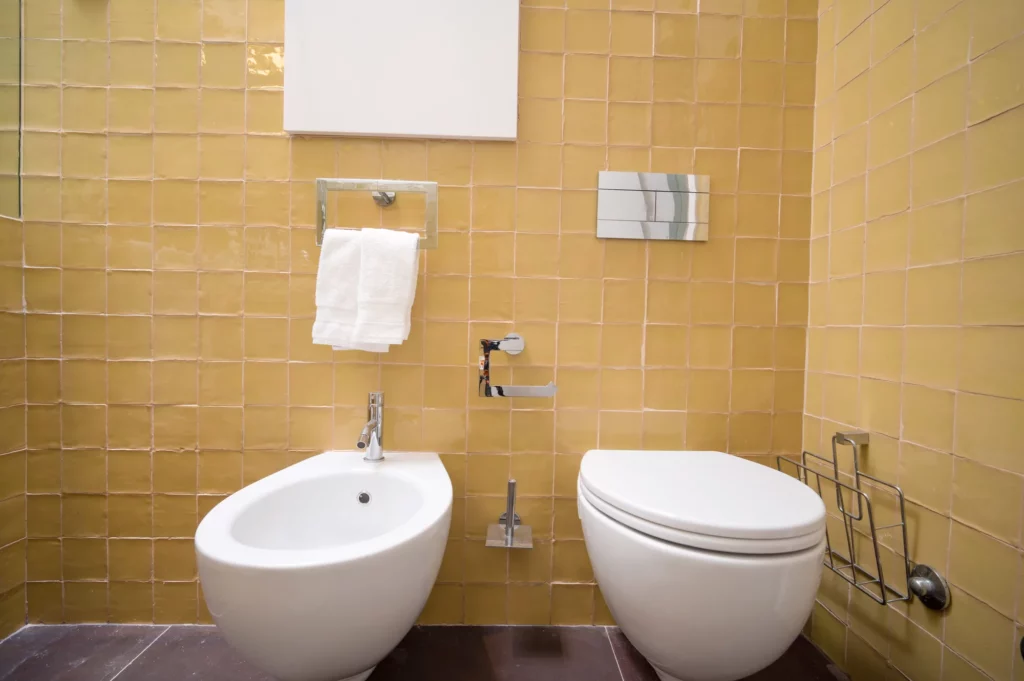 Baño marrón de la villa Bom Sucesso Óbidos en Portugal